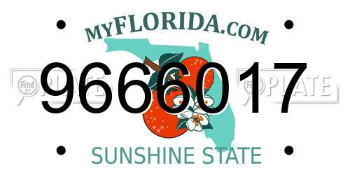 9666017 Florida License Plate