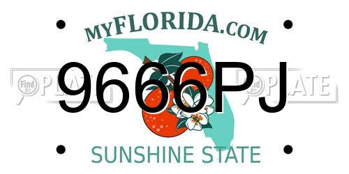 9666PJ Florida License Plate
