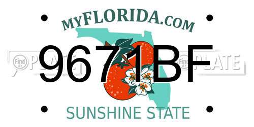 9671BF Florida License Plate