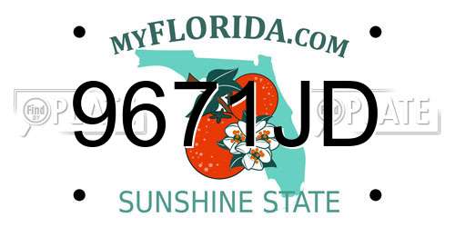 9671JD Florida License Plate