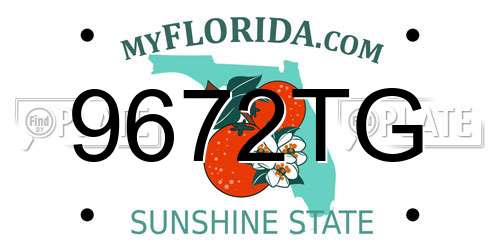 9672TG Florida License Plate