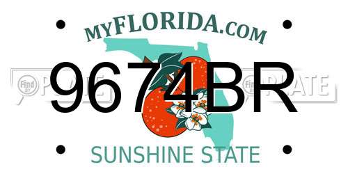 9674BR Florida License Plate