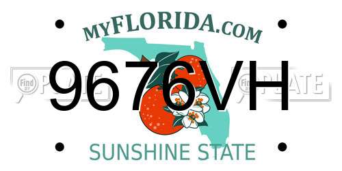 9676VH Florida License Plate