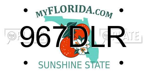 967DLR Florida License Plate