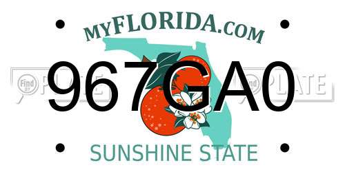 967GA0 Florida License Plate