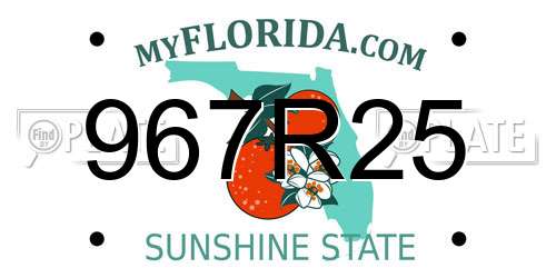 967R25 Florida License Plate