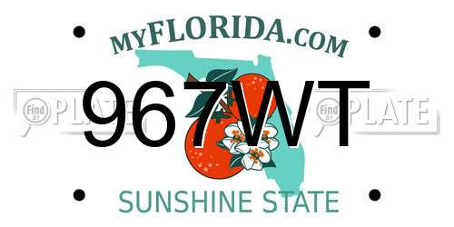 967WT Florida License Plate