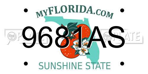 9681AS Florida License Plate