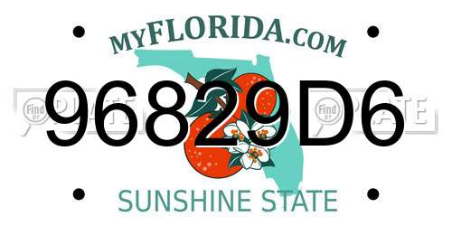 96829D6 Florida License Plate