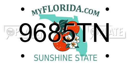 9685TN Florida License Plate