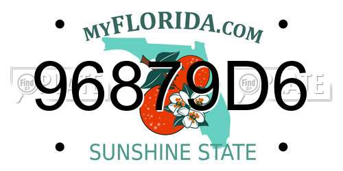 96879D6 Florida License Plate