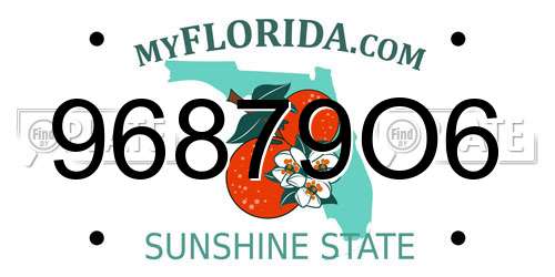 96879O6 Florida License Plate