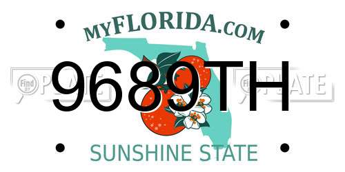 9689TH Florida License Plate