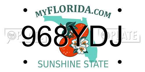 968YDJ Florida License Plate