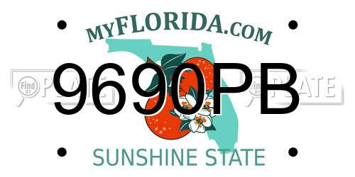 9690PB Florida License Plate
