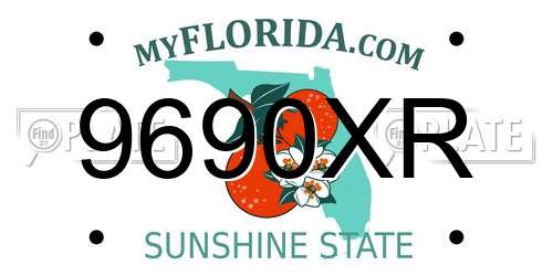 9690XR Florida License Plate
