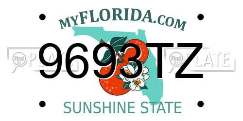 9693TZ Florida License Plate