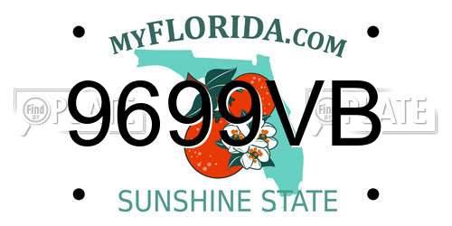 9699VB Florida License Plate