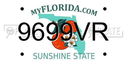9699VR Florida License Plate