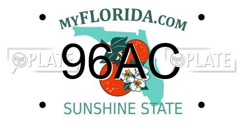 96AC Florida License Plate