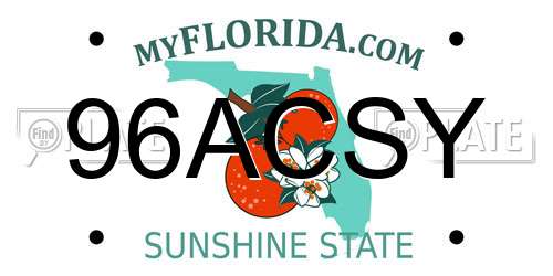 96ACSY Florida License Plate
