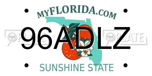 96ADLZ Florida License Plate