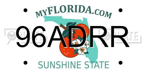 96ADRR Florida License Plate