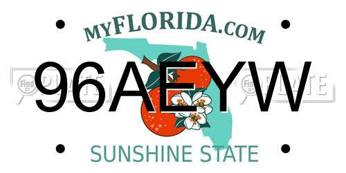 96AEYW Florida License Plate