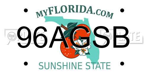 96AGSB Florida License Plate