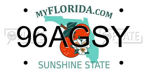 96AGSY Florida License Plate