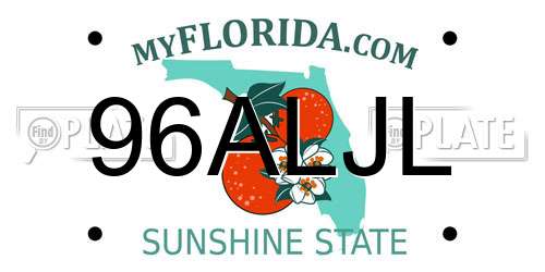 96ALJL Florida License Plate