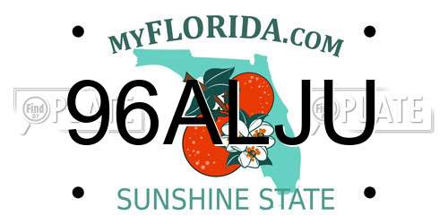 96ALJU Florida License Plate
