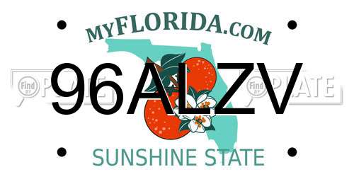 96ALZV Florida License Plate