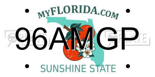 96AMGP Florida License Plate