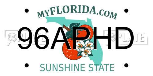 96APHD Florida License Plate