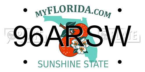 96ARSW Florida License Plate