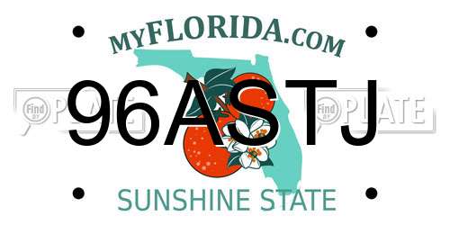 96ASTJ Florida License Plate