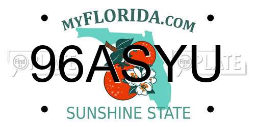96ASYU Florida License Plate