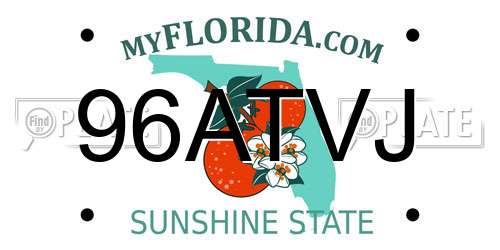 96ATVJ Florida License Plate