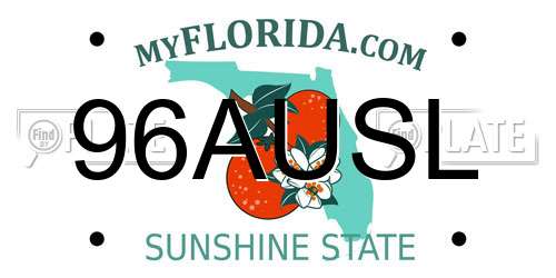 96AUSL Florida License Plate