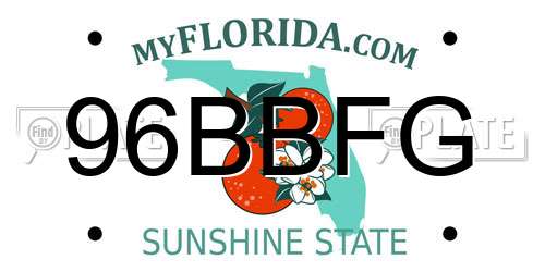 96BBFG Florida License Plate