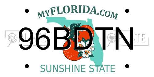 96BDTN Florida License Plate