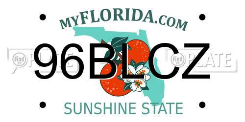 96BLCZ Florida License Plate