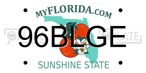 96BLGE Florida License Plate