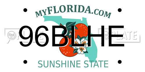 96BLHE Florida License Plate