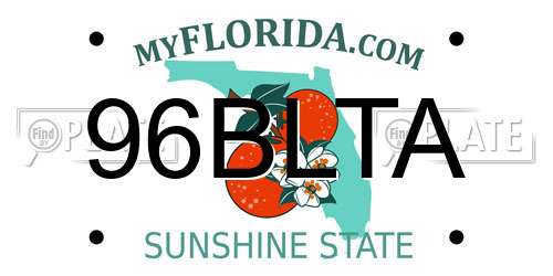 96BLTA Florida License Plate