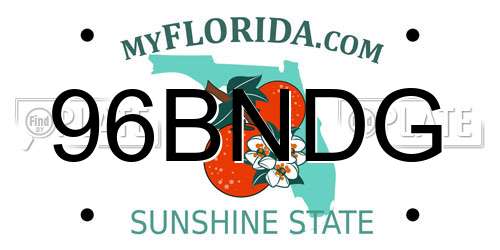 96BNDG Florida License Plate