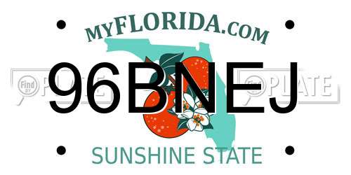 96BNEJ Florida License Plate
