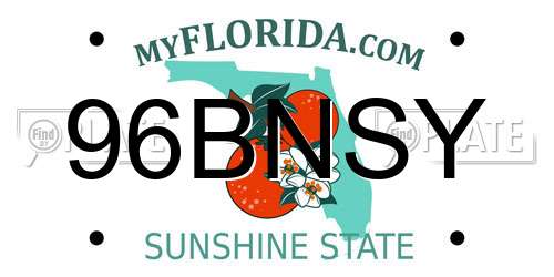 96BNSY Florida License Plate