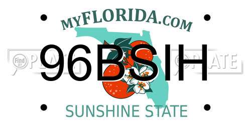 96BSIH Florida License Plate